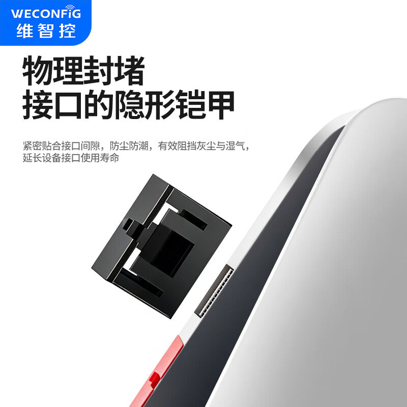 Weizhi Control Enterprise USB Port Data USB Security Lock USB Blocker Sealing Plug USB Safety Plug USB Lock USB Dust Plug Mechanical Seal 1-3E USB Lock Red (10+1)