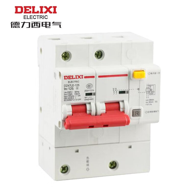 Delixi DZ47LE-125 2P 100A 10KA AC Leakage Circuit Breaker