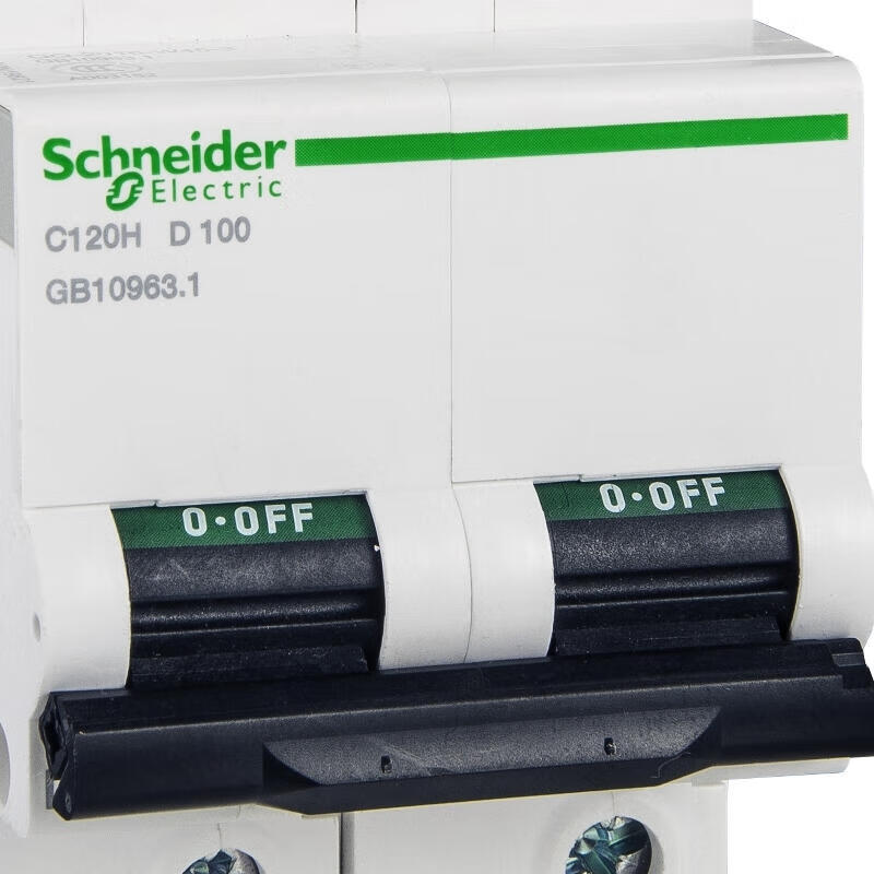 Schneider Electric circuit breaker; C120H 2P D 100A