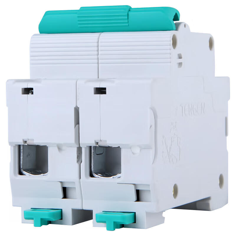 Tianzheng TGB1N-125 2P C100 Circuit Breaker