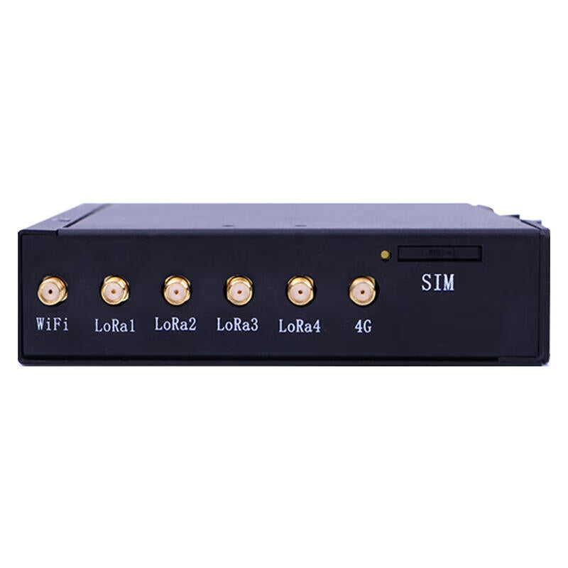 Someone (LonHand) lora gateway concentrator wireless data transmission radio self-organizing network private protocol does not support 2/3/4G-10 USR-LG220-L-10 full network