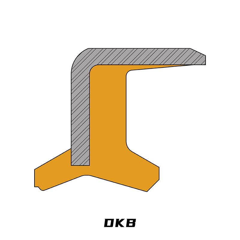 NAK (Maoshun) DKB 19*31*6/9 NBR Nitrile Rubber Carcass Dustproof, 10 pieces/pack