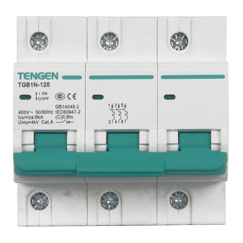 Tianzheng TGB1N-125 3P D 100A 6KA Circuit Breaker