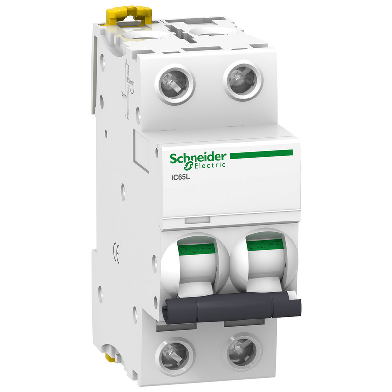 Schneider Electric iC65L Miniature Circuit Breaker, 2P, C50A