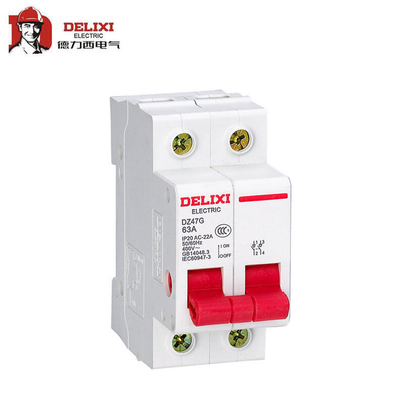 Delixi electrical isolation switch; DZ47G 2P 100A