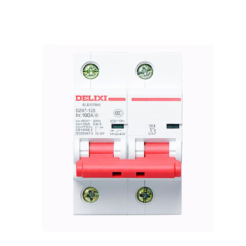 DELIXI ELECTRIC AC miniature circuit breaker high current leakage protection circuit breaker DZ47-125 2P type C 100A