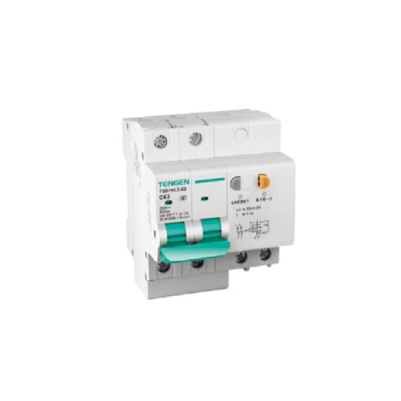 Tianzheng Electric TENGEN TGB1NLE-63 2P D50 300mA miniature leakage protection circuit breaker 335021600822