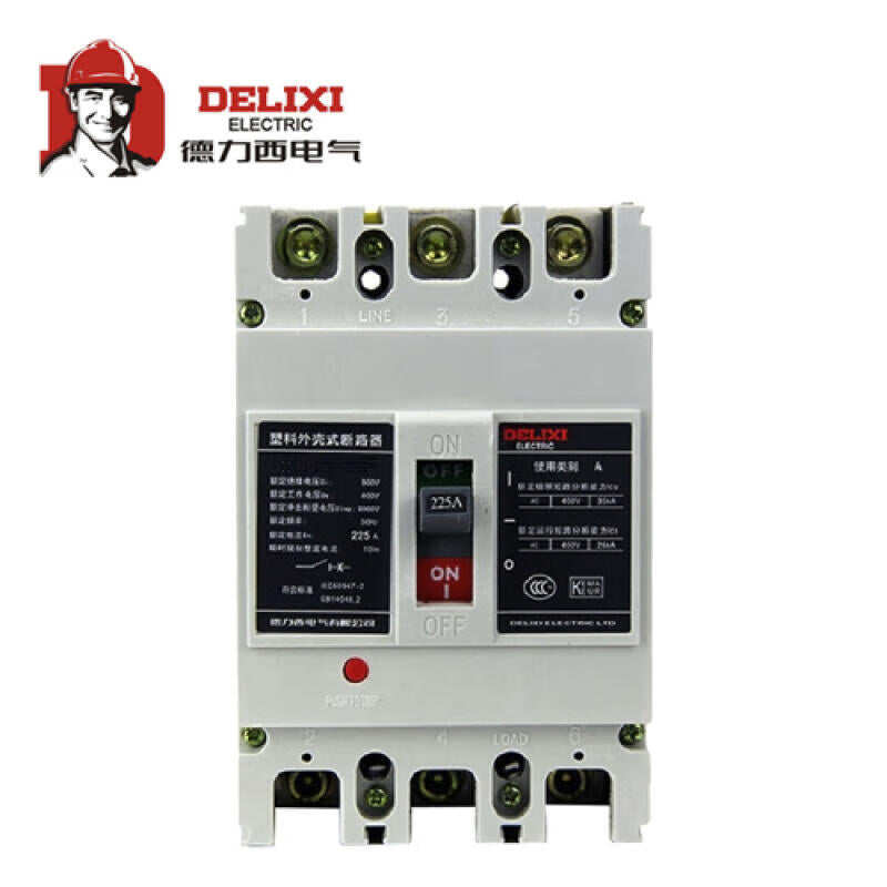 Delixi CDM1-250L/3300 Electric Circuit Breaker 100A