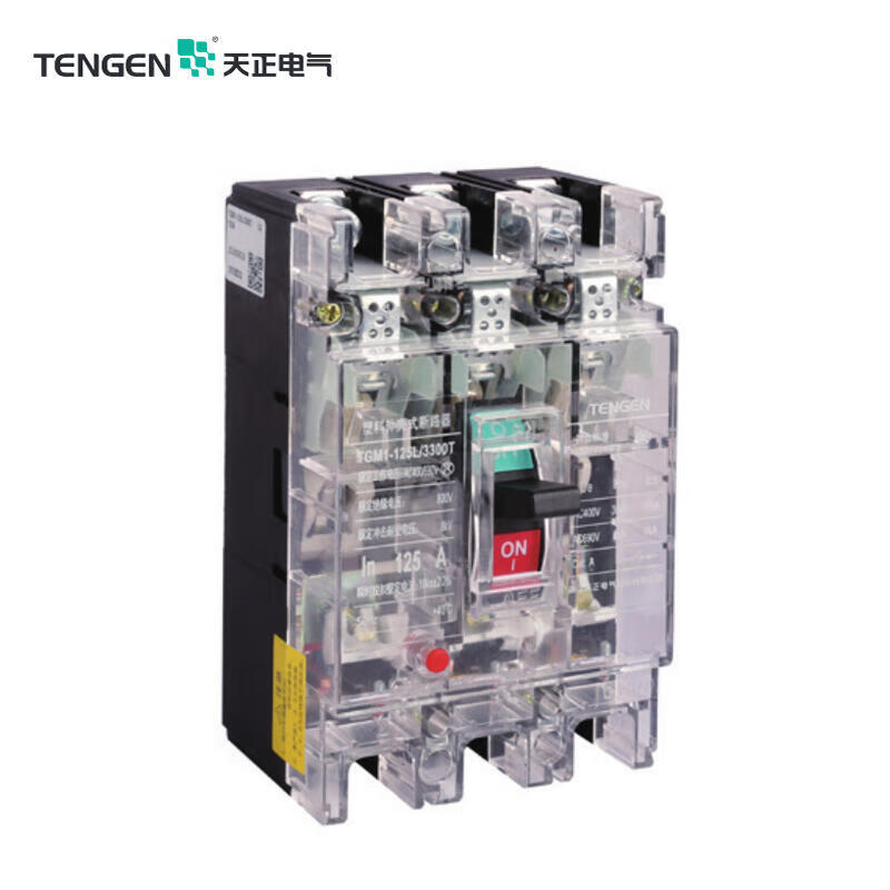 Tianzheng TGM1-125L/3300T Circuit Breaker 35kA 3P 125A