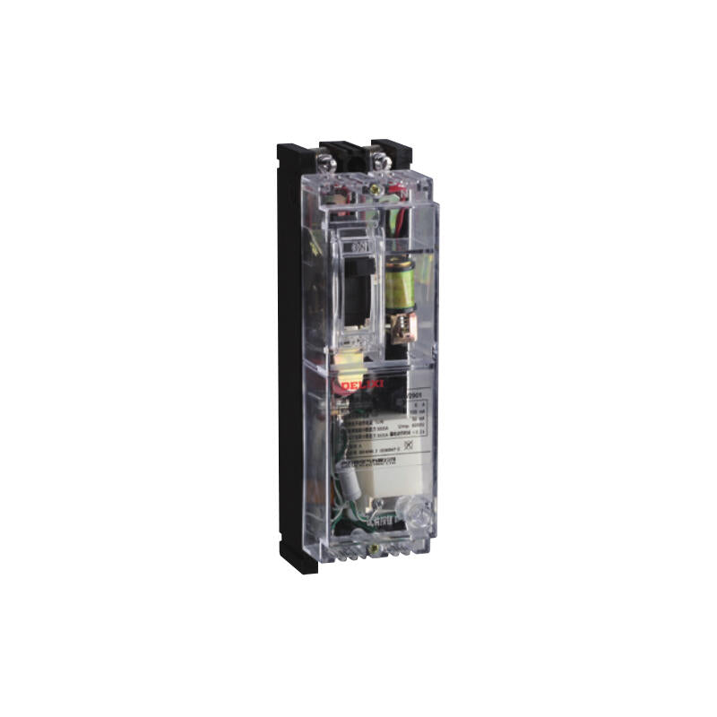 Delixi DZ15LE-40T/2901 40A Leakage Circuit Breaker - Transparent