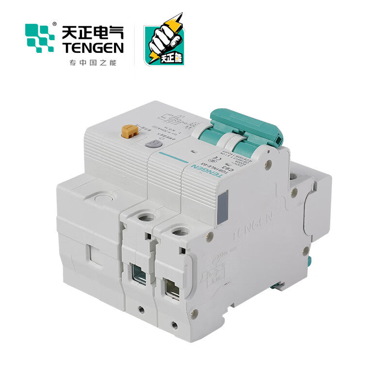 Tianzheng Electric Air Switch TGB1NLE-63 2P C 63A 50mA 335021600814 Miniature Leakage Protection Circuit Breaker