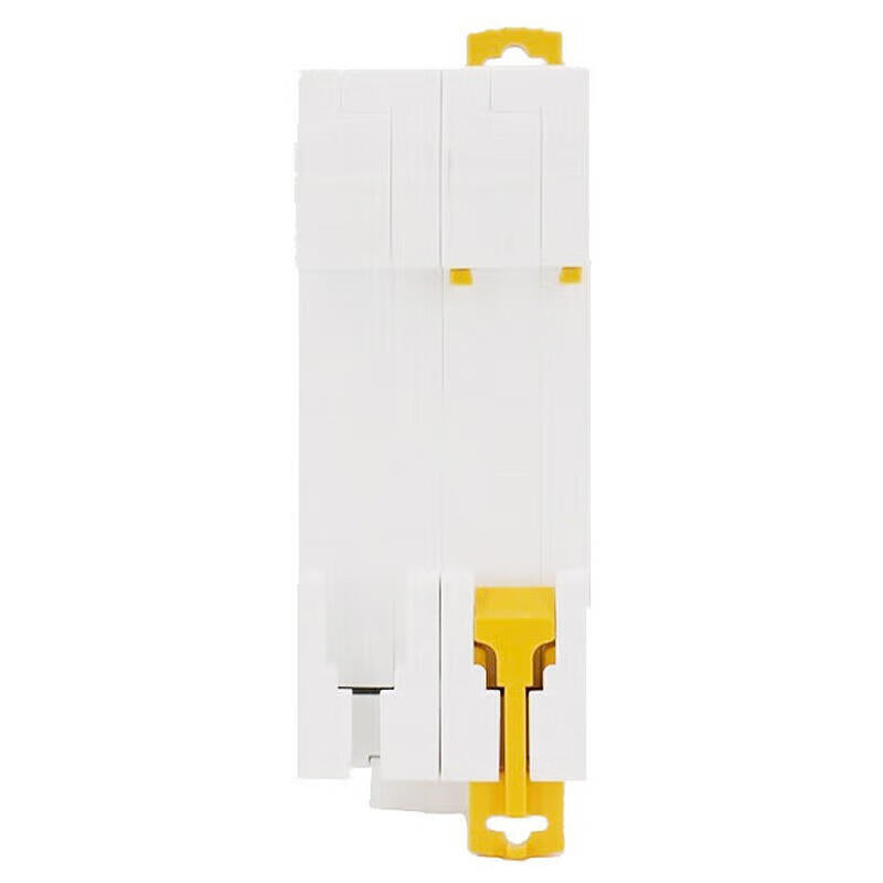 Schneider Electric iC65N Miniature Circuit Breaker 2P C50A