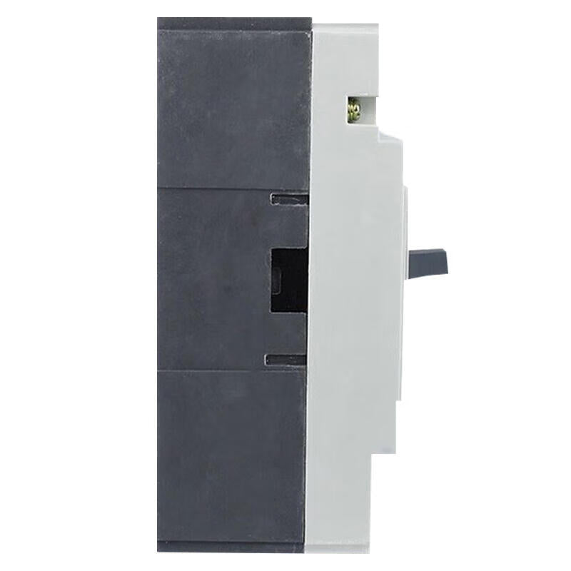 Delixi Electric CDM1-250L/3300 Molded Case Circuit Breaker 160A