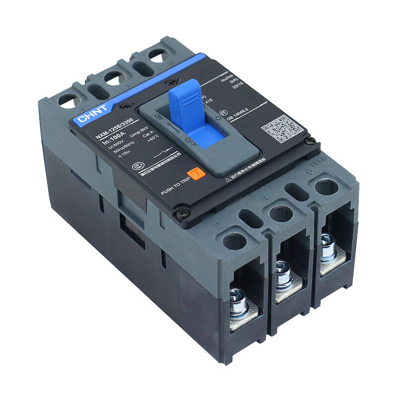 Chint NXM-125S/3300 100A Molded Case Circuit Breaker