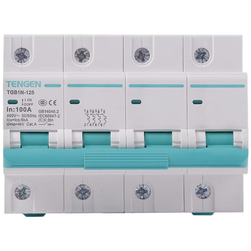 Tianzheng TGB1N-125H 4P C100 Small Circuit Breaker