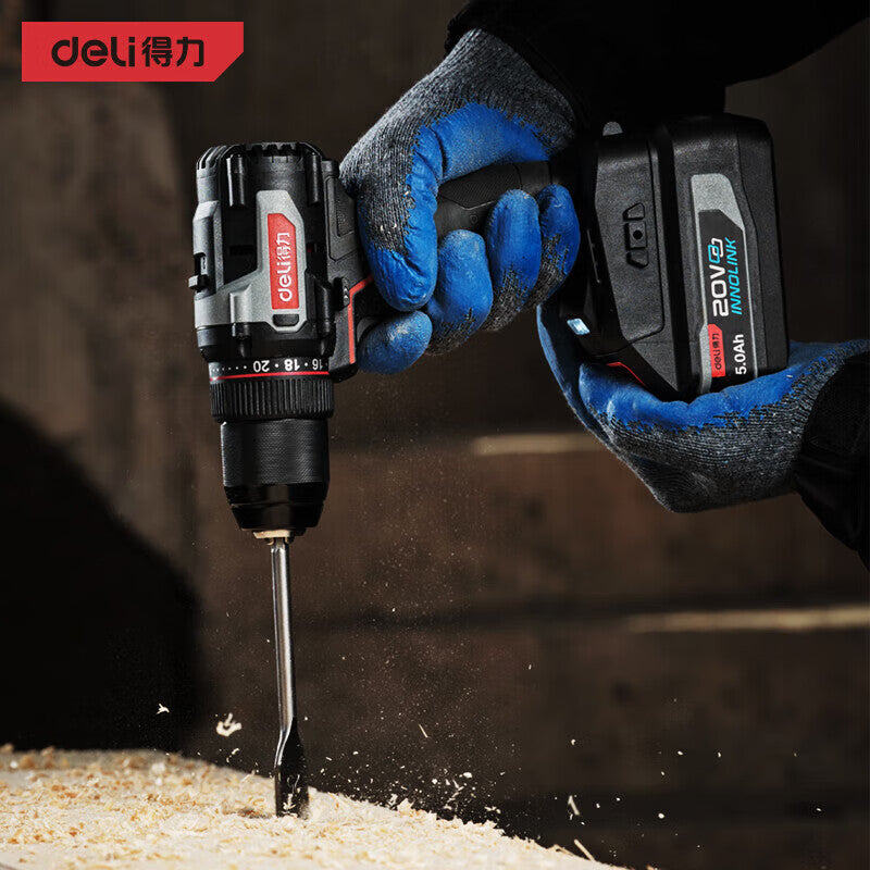 DELI Tools Professional Grade 20V 70Nm 13mm Lithium Drill; DE-DZ20-2D4 (Two batteries and one charger 4.0)