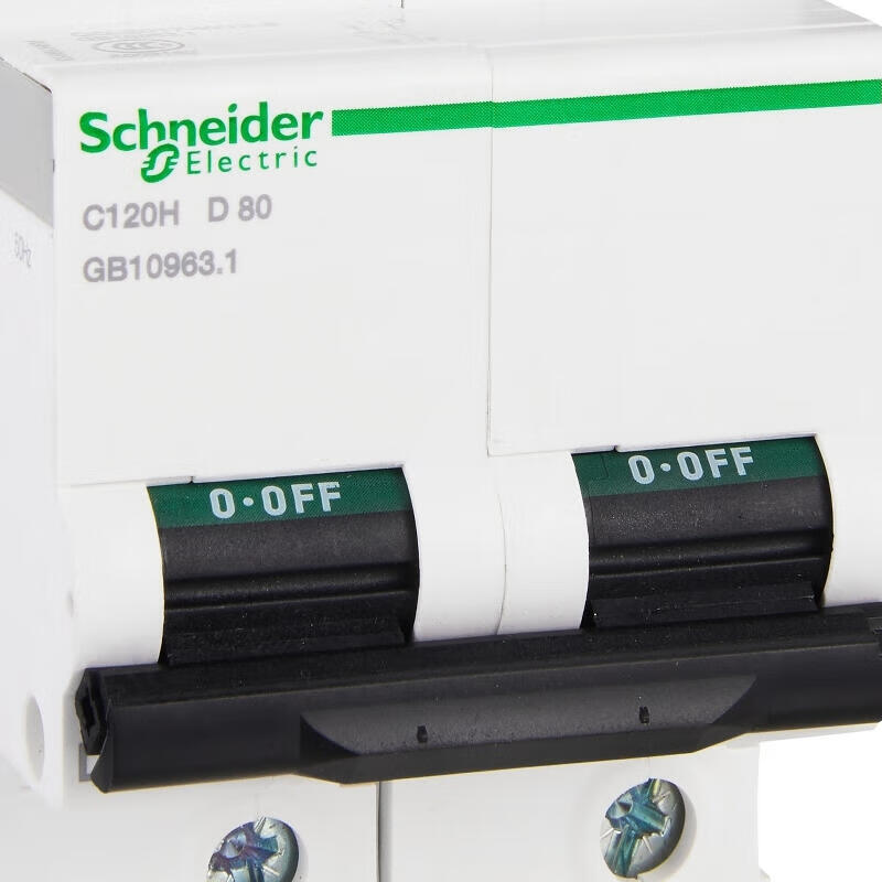 Schneider Electric C120H 2P D 80A Circuit Breaker