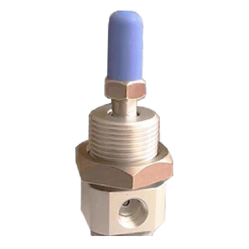 AirTAC MI20X125SU Stainless Steel Mini Cylinder, Double Acting with Magnet