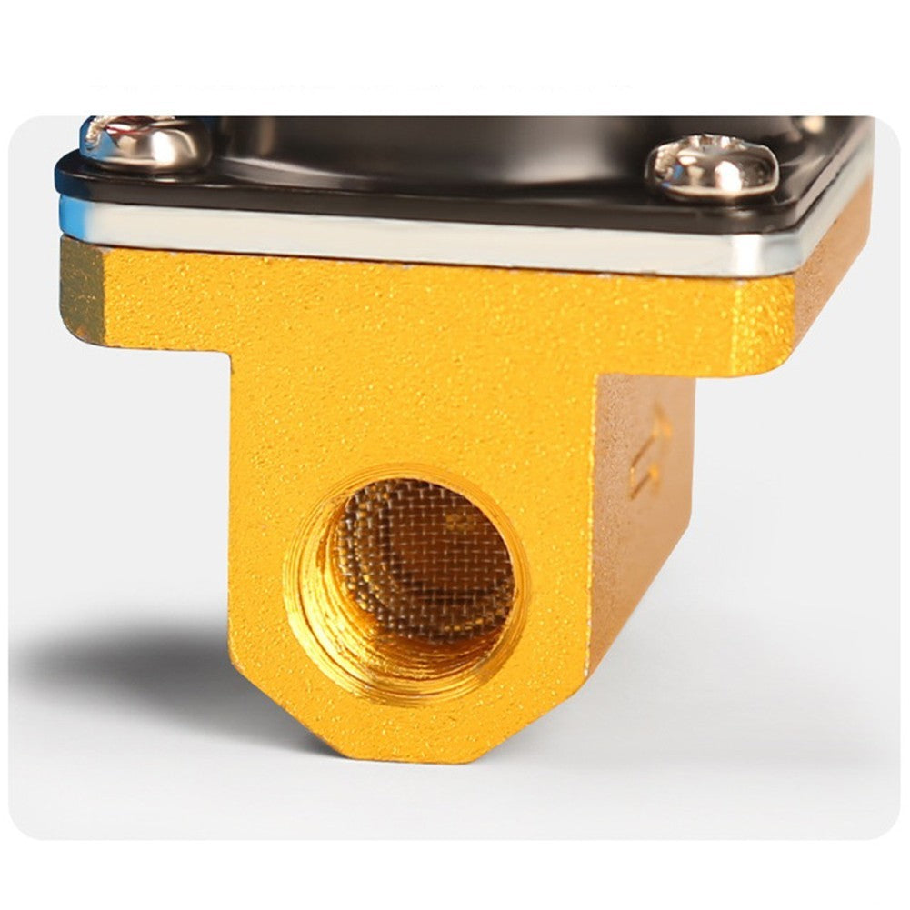 High Performance Solenoid Valve for For argon Welding Machines Brass Design