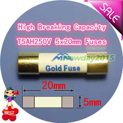 1PCS AMR T5AH250V 5A HIFI Gold Cap Silver Fuse Tube 250V