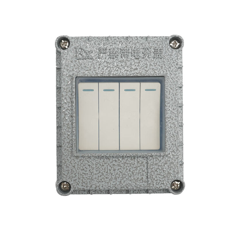 Morimoto Explosion-proof Lighting Switch SW-10A Double Pole Single Control Rocker Type