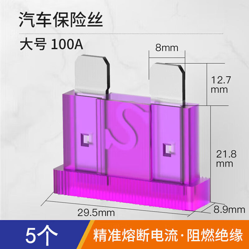 Huijun Automotive Fuse Clips, Car Fuse Inserts, 4S Store Fuse Tube Set, Large 100A Fuse - 5 Clips