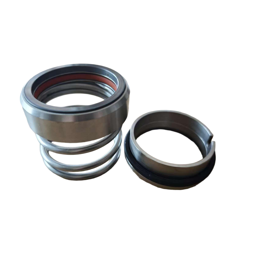 BGMMFJGS Mechanical Seal Alloy-to-Alloy 2HS-60-D
