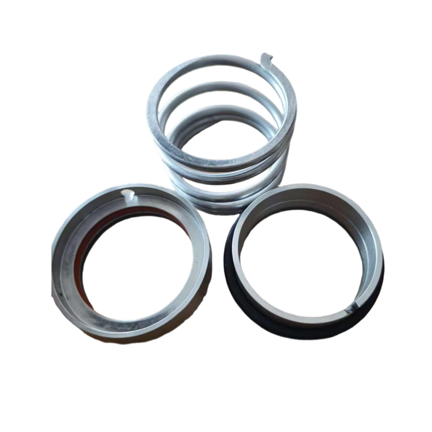 BGMMFJGS Mechanical Seal Alloy-to-Alloy 2HS-60-D