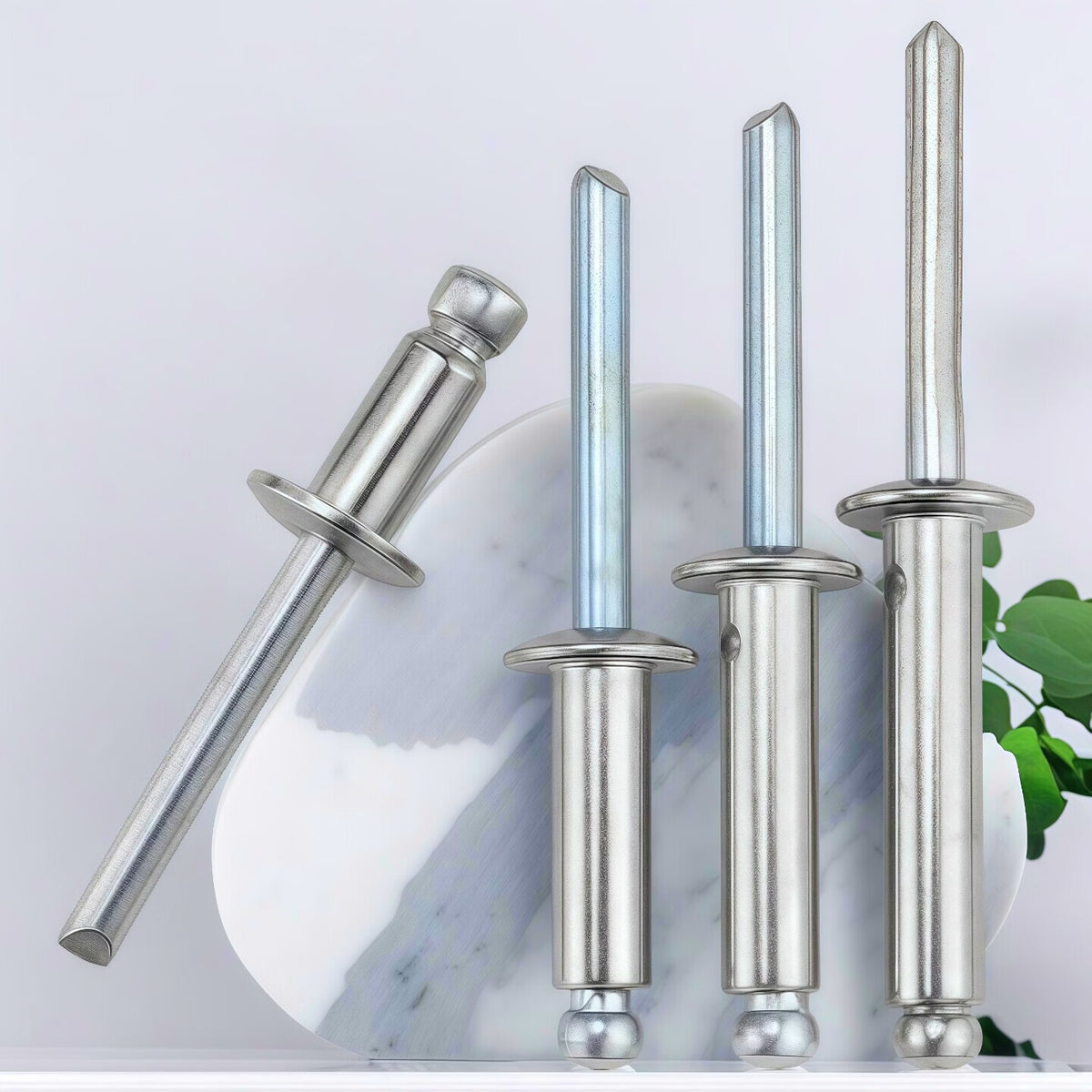 Jinglan 304 Stainless Steel Blind Rivets, Round Head Rivets, Tenon Rivets, Blind Rivets for Decoration, 4.8 x 10-500 pieces per box