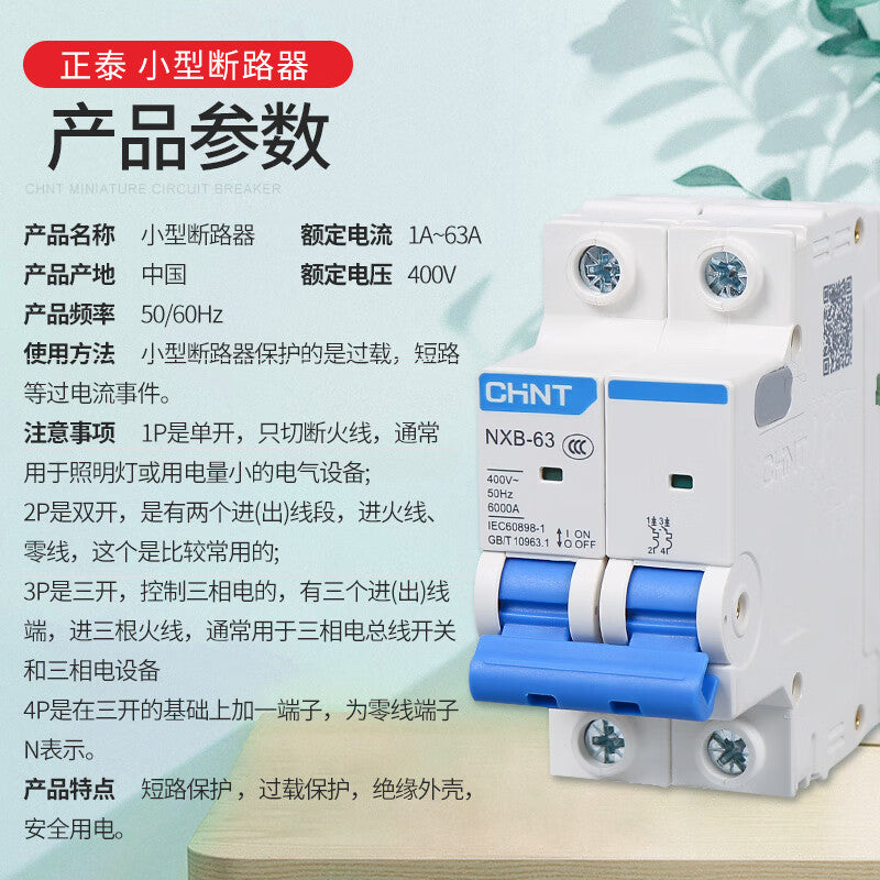 Chint (CHNT) air switch small circuit breaker NXB-63 2P C 63A