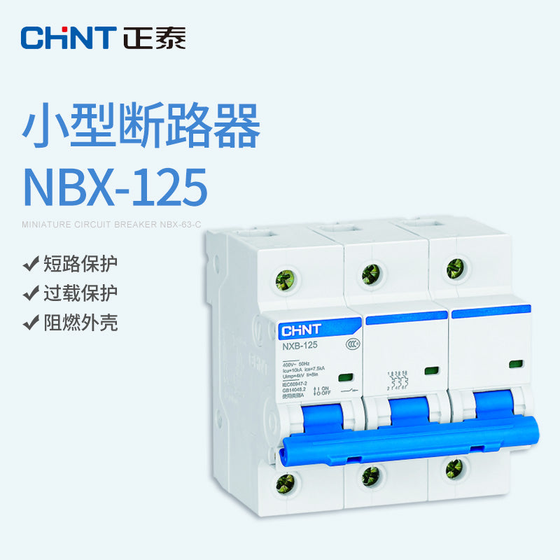 Chint NXB-125 3P 100A Small Circuit Breaker