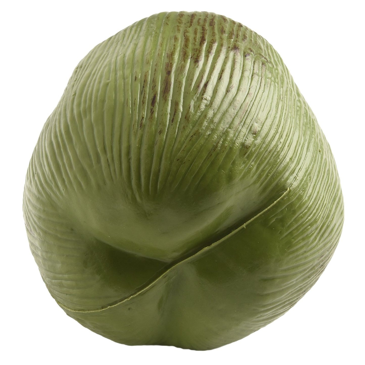 Note Package Content Farmhouse Decor Artificial Coconut Realistic Appearance