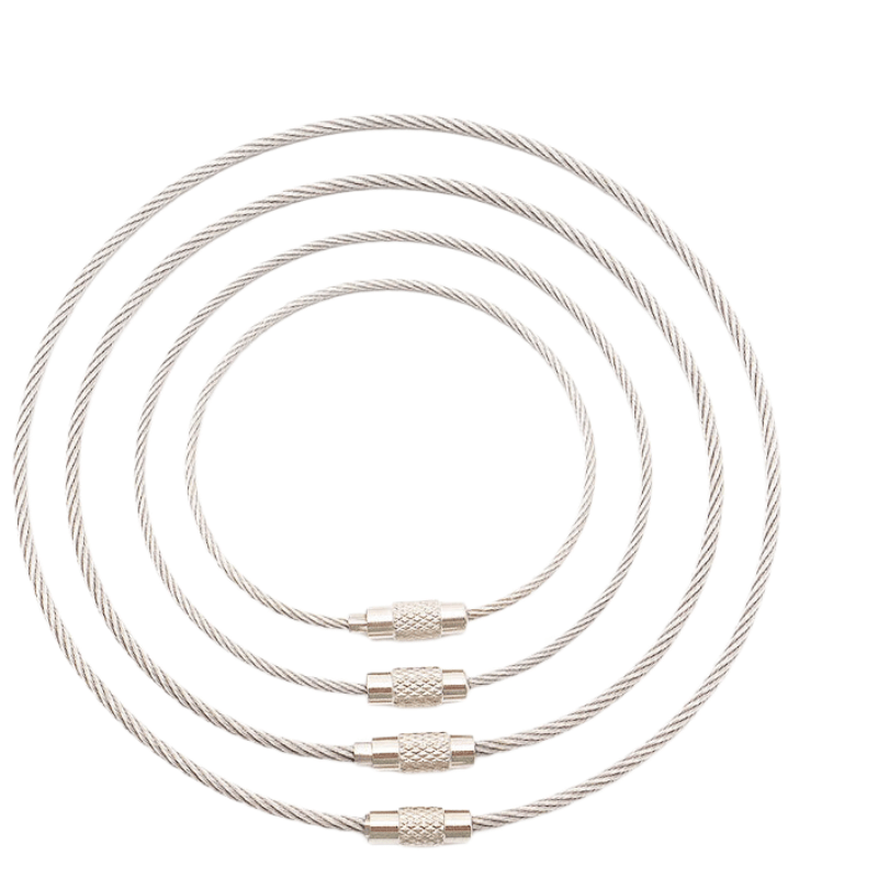 Hesdig [Jingcang Flash Delivery] Steel Wire Rope Keychain, Stainless Steel Keychain, Tag Pendant, Buckle, Coil Steel Wire Ring, Steel Wire Lock, 2.0mm*30cm (20 pieces) HY-404