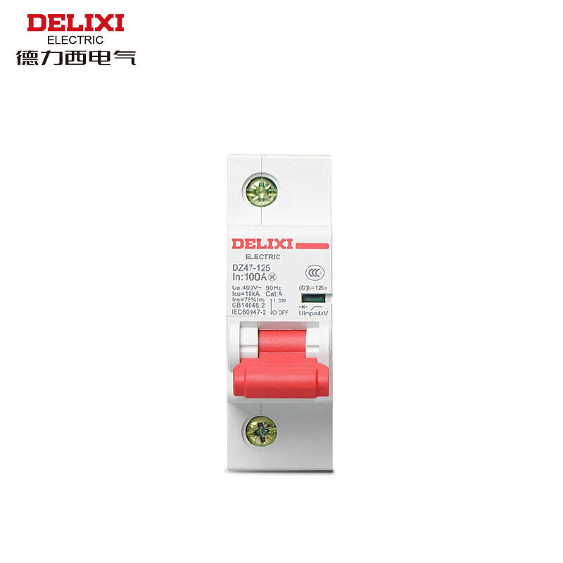 DELIXI ELECTRIC AC miniature circuit breaker high current leakage protection circuit breaker DZ47-125 1P Type C 100A