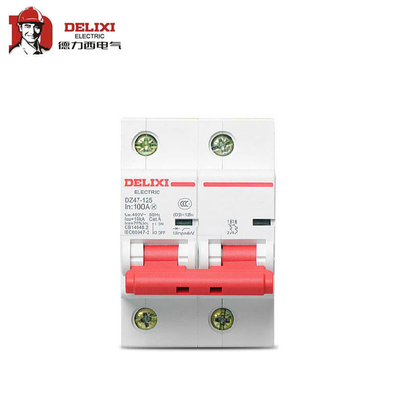 Delixi DZ47-125 2P Standard Circuit Breaker 100A