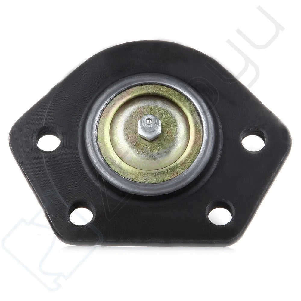 [10]