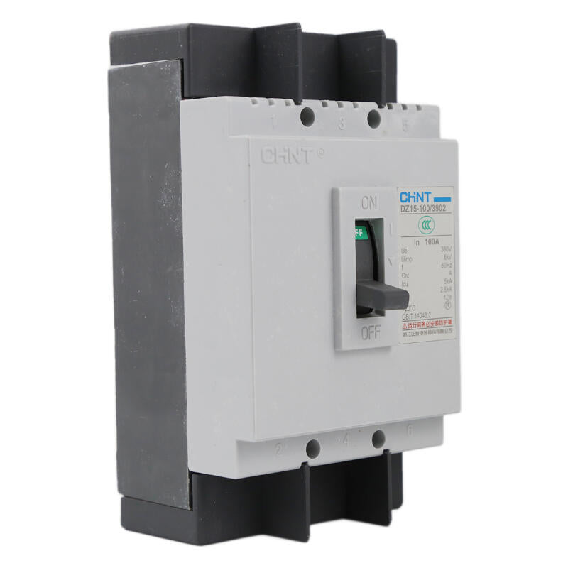 Chint DZ15-100/3902 100A Molded Case Circuit Breaker