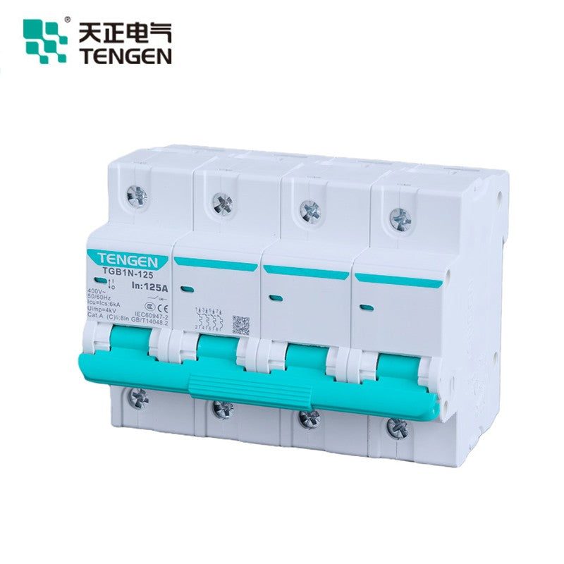 Tianzheng Electric TGB1N series 125 frame air switch small circuit breaker short circuit overload protection type C 2P 100A (Xiangyun 3.0) 335012800389