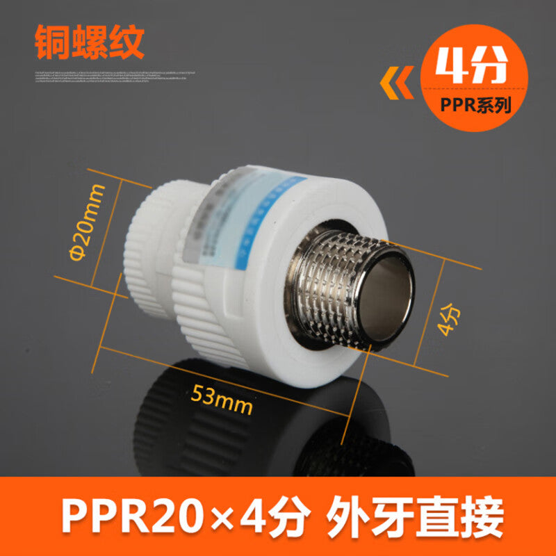 Haisdick Thickened PPR20 Direct External Thread Straight-Through 4-Point Heat Fusion Connector HKsq-713 (2 pieces)