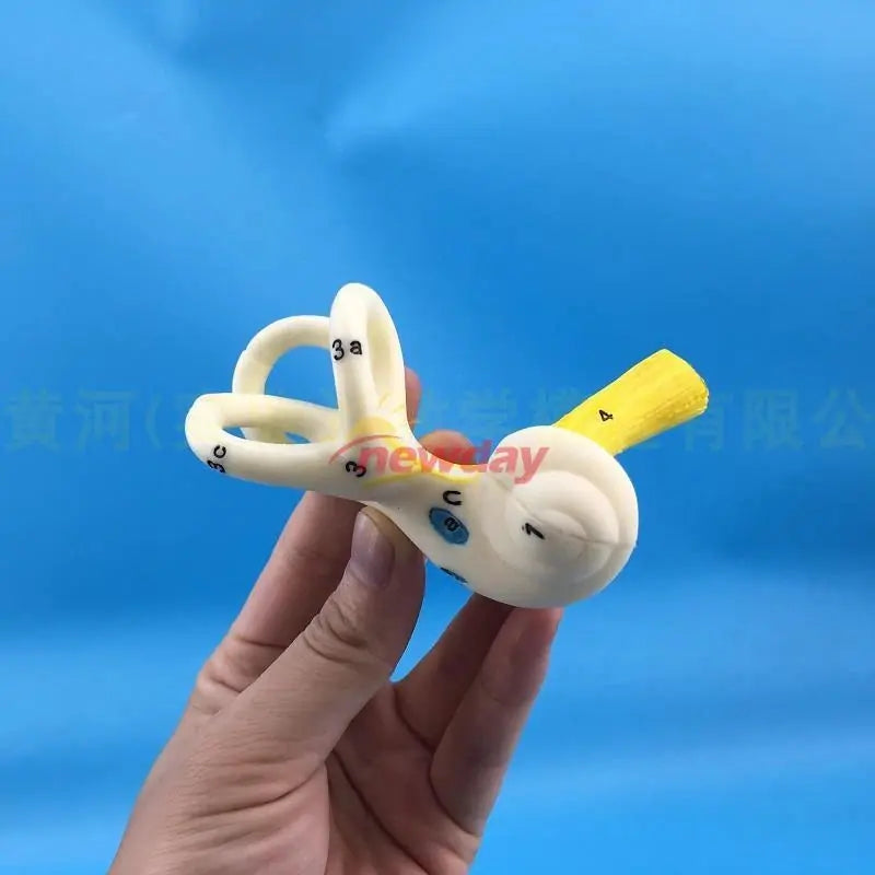 [1]