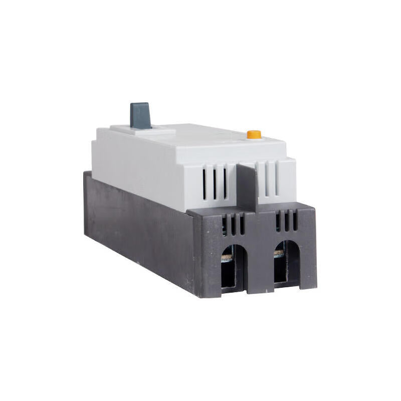 Chint DZ15LE-100/2901 Circuit Breaker 100A 30mA