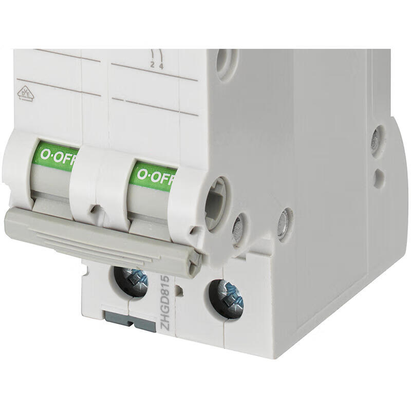Siemens ET-5SY 125A 2-Pole Domestic Isolating Switch