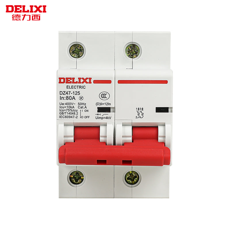 DELIXI DZ47S-125 2P D80 Air Circuit Breaker Main Switch