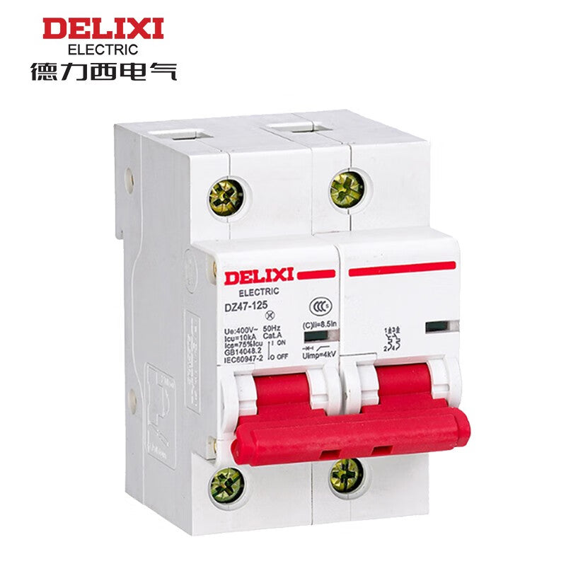 Delixi Electric DZ47-125 2P 125A 10KA Circuit Breaker