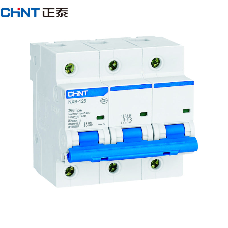 Chint NXB-125 3P 100A Small Circuit Breaker