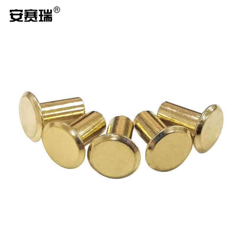 Anselite Copper-Plated Threaded Rivets, Ledger/Album Binding Screws, Tenons, Recipe Locks, 5×8, 100 Sets, 4C00087