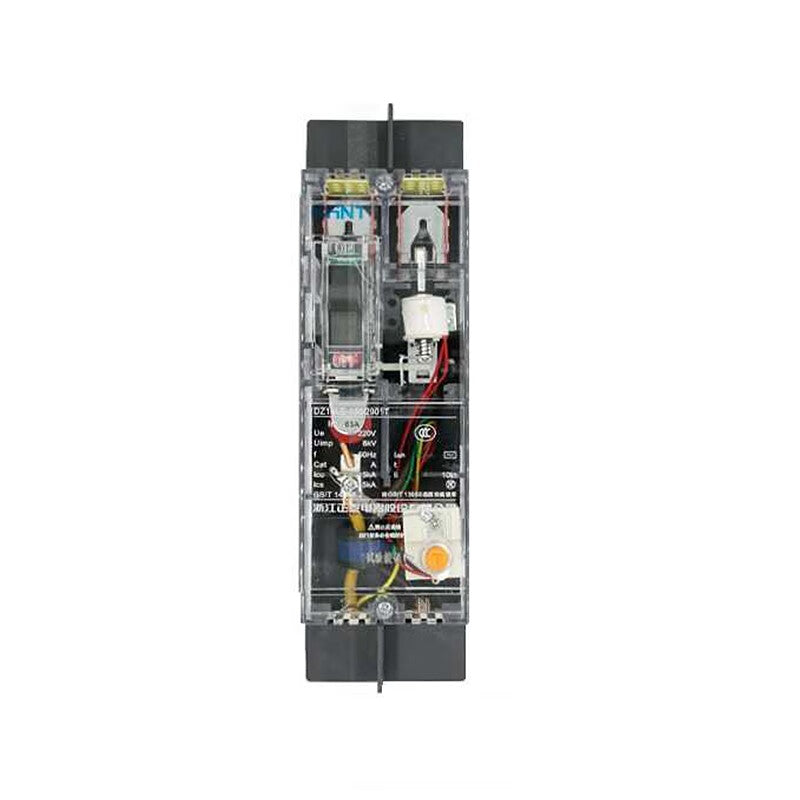 Chint DZ15LE-100/2901 2P 100A Circuit Breaker Transparent