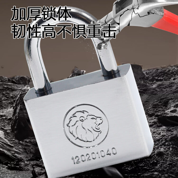 BERRYLION padlock, waterproof and rustproof, for home, school, shop, small security windows, four keys, silver, 30mm.