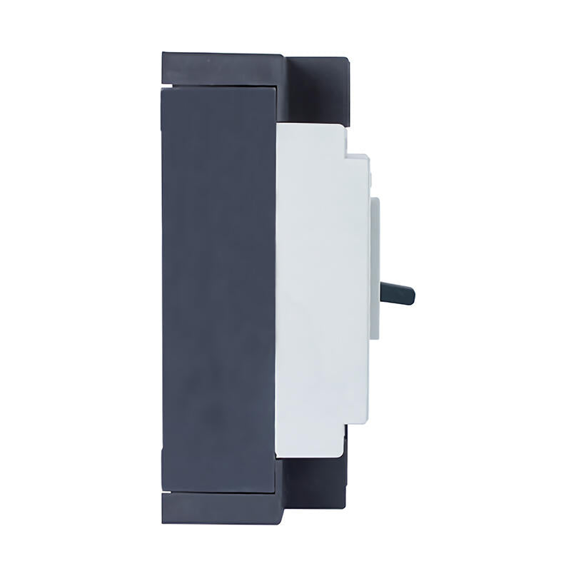 Chint molded case circuit breaker; DZ15-40/2901 40A