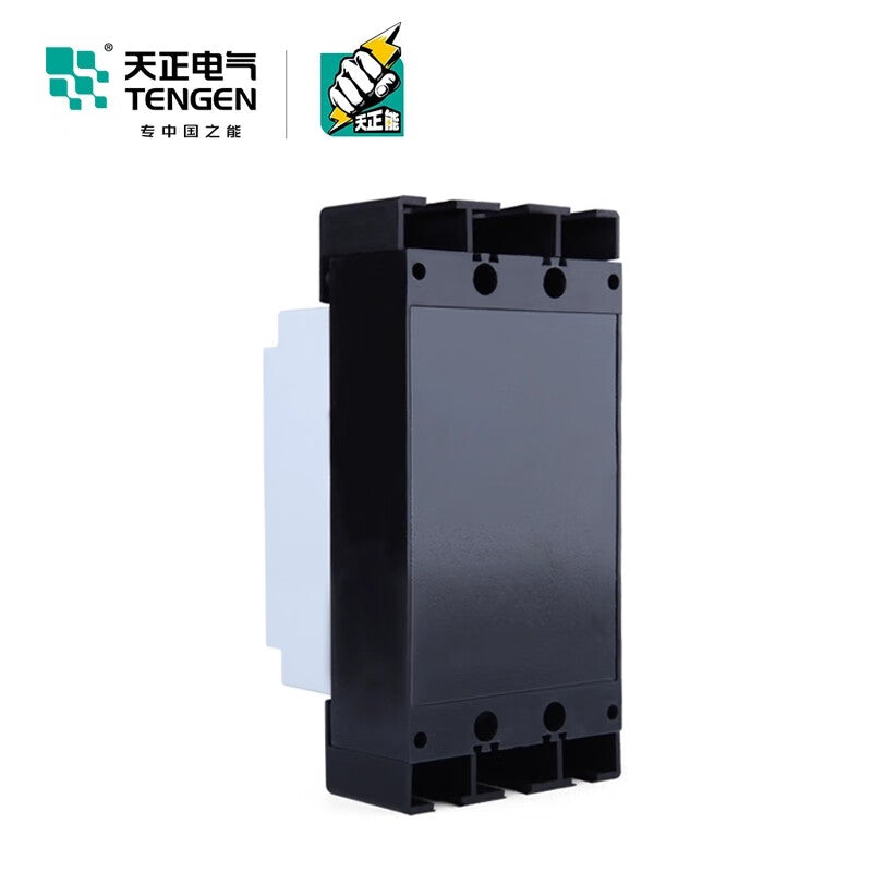 TENGEN DZ15-40 Molded Case Circuit Breaker 40A